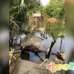 কলাপাড়ায় বিকট শব্দে ভেঙে পড়ল আয়রন ব্রিজ