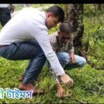 কলাপাড়ায় দুটি কালনাগিনী সাপ উদ্ধার, বনে অবমুক্ত করলেন ইয়াসীন সাদেক