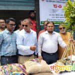 কলাপাড়ায় কৃষি প্রণোদনা পেলো ছয় হাজার কৃষক
