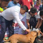 কুয়াকাটায় জলাতঙ্ক প্রতিরোধে মালিকবিহীন কুকুর-বিড়ালে বিনামূল্যে টিকা প্রদান কর্মসূচি