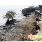 কলাপাড়ার চম্পাপুর বন্যা নিয়ন্ত্রণ বাঁধে ভাঙন: পানিতে তলিয়ে নষ্ট হচ্ছে ফসল