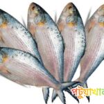 পটুয়াখালীতে বৈশাখের আগে ইলিশের দামে আগুন, সাধারণ মানুষের নাগালের বাইরে