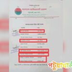 কলাপাড়ায় কলেজ ছাত্রদলের ১১ সদস্যের কমিটির মধ্যে ছয়জনের পদত্যাগ