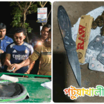 মহিপুরে মাদক পরিবহনের অপরাধে একজনকে ১ মাসের কারাদণ্ড