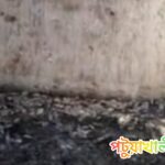 কলাপাড়ায় বিএনপির নির্বাচনী প্রচার অফিসে অগ্নিসংযোগ